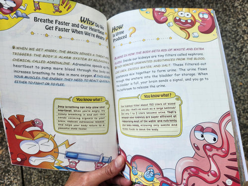 Review 3