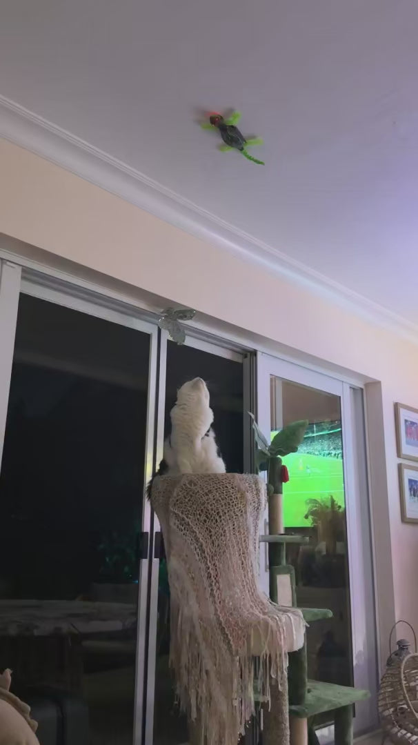 Watch customer video