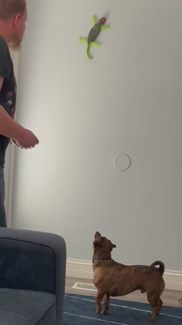 Watch customer video