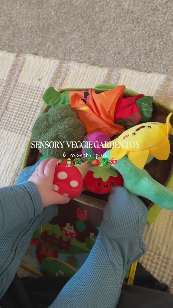 Watch customer video