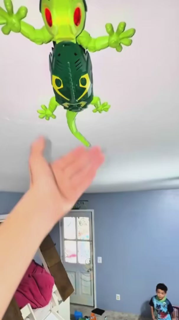 Watch customer video