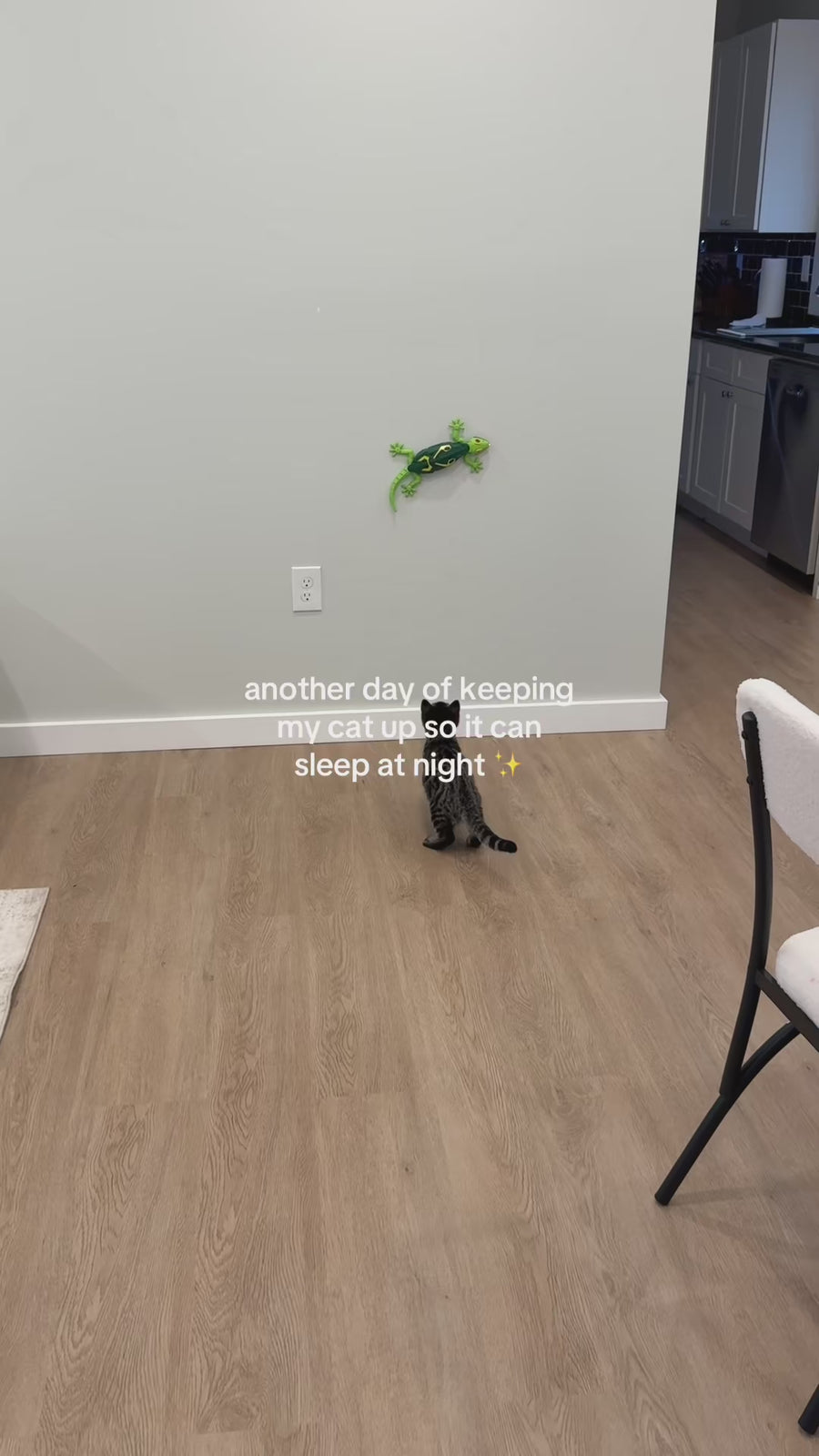 Watch customer video