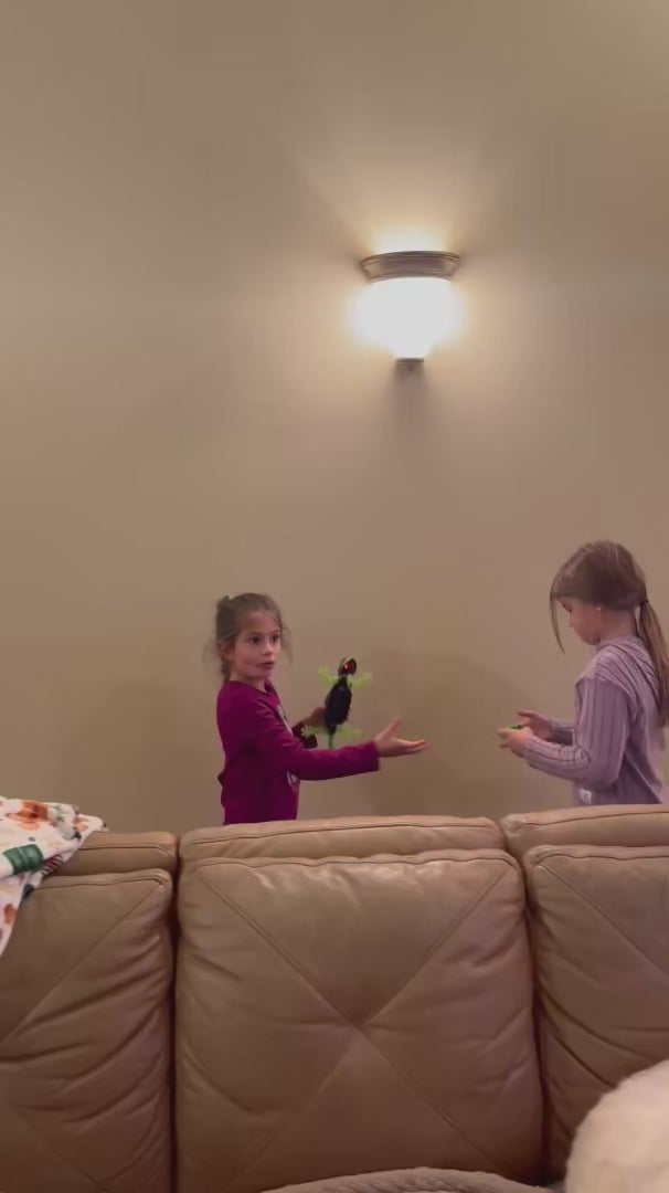 Watch customer video
