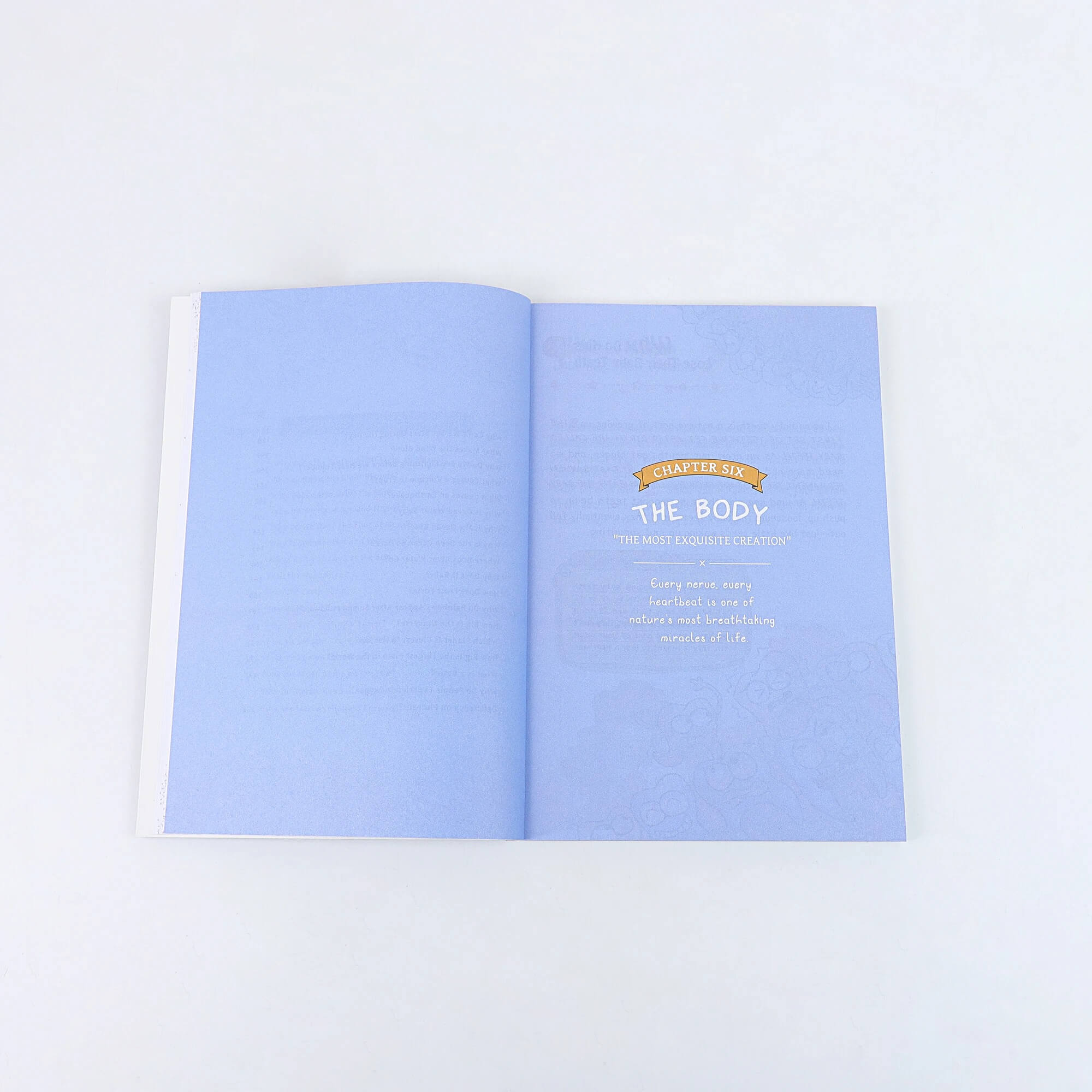 100,000 Whys — The Screen-Free Book of Wonders, Hardcover
