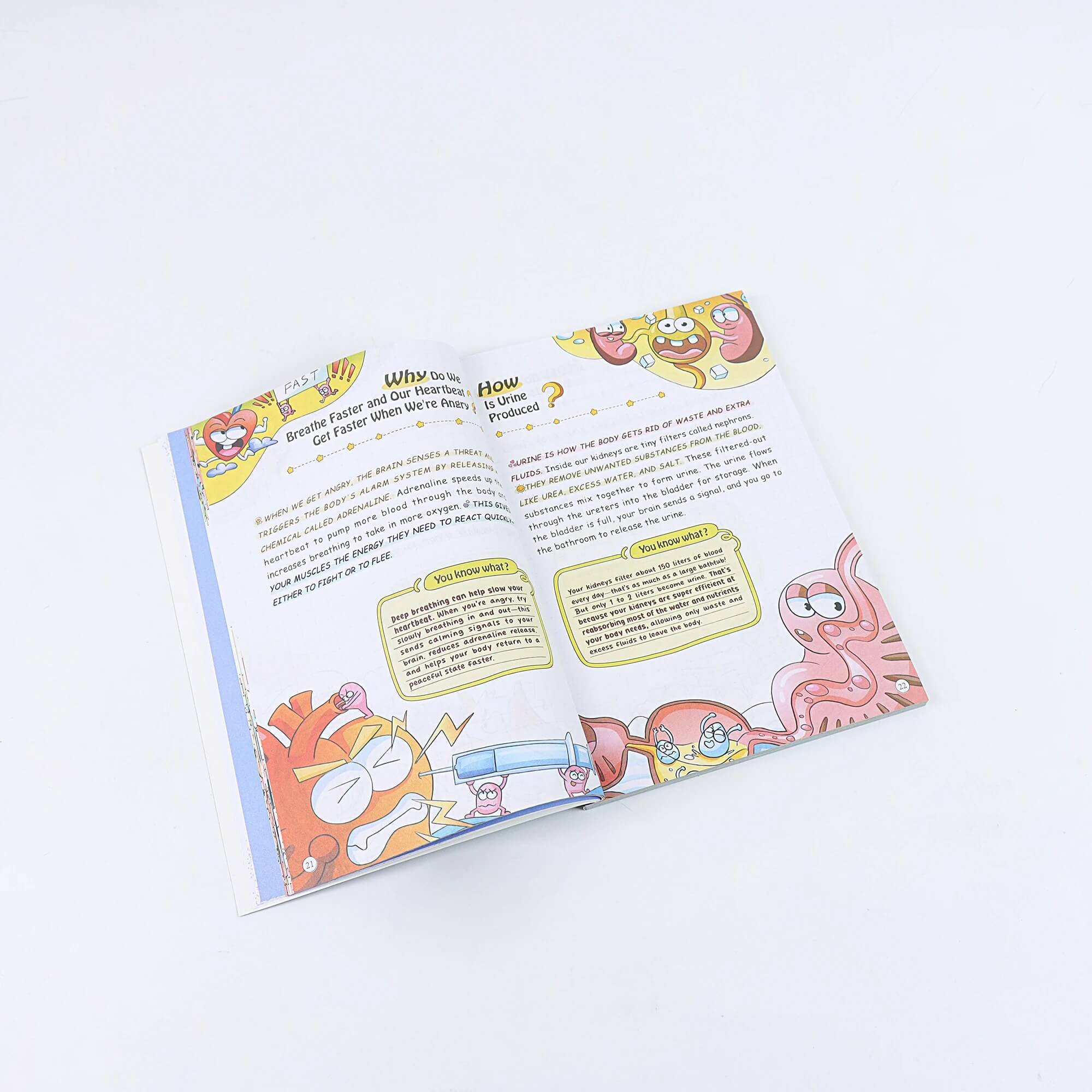 100,000 Whys — The Screen-Free Book of Wonders, Hardcover